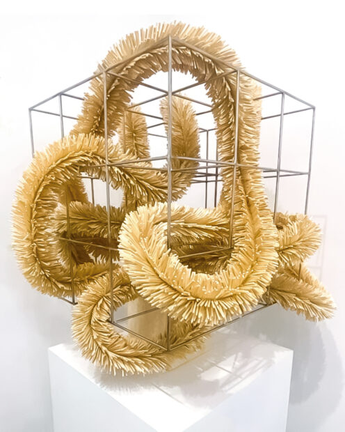 Manasa